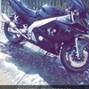 Yzf600r