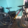 Trek Roscoe 2020