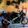 51 Rsv Mille / Tuono conversion