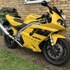 Triumph Daytona 955i