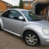 02 plate beetle