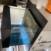 Large Fish tank