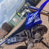 Yz 250 swap 350