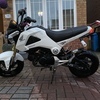 2014 Honda Grom 125cc