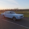 1966 Mustang coupe 289 factory v8