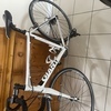 Giant defy