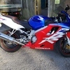 Honda CBR 600 F4