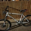 Whyte 19 steel