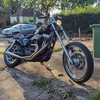 Harley Davidson Xl883N sportster