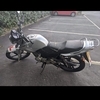 YAMAHA YBR 125