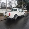 Nissan navara 2013 white