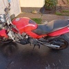 1999 Honda hornet 600