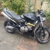 Honda cb600f