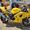 Triumph daytona