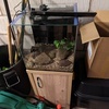 Aquarium / Fish Tank Full Set Up