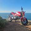 Honda msx 125