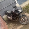 2005 cbf600