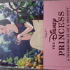 The Disney princess book
