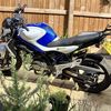 Suzuki Gladius SFV 650 2009