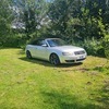 Audi S4 4.2 V8 vert -want turbo car