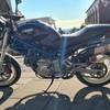 2001 ducati m600 monster