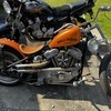 Harley hard tail 883cc chop