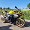 Yamaha r6 anniversary 1 of 2000