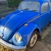 1971 beetle 1300