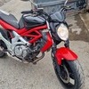 Suzuki sfv650 gladius