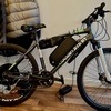 Boardman electric bike rev and go
