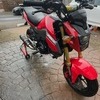 Honda grom 125