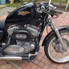Harley Davidson immaculate