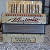 piano accordion.