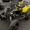 Yamaha Raptor 700R special Edition
