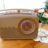 Vintage BUSH RADIO