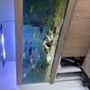 9x2x2 fish tank
