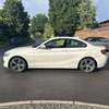 2014 Bmw 218d sport