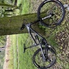 YT Capra Enduro Mountain bike