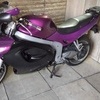 Triumph sprint 955i NEW PIKS