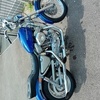 1989 harley davidson sportster 1200