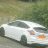 Ice white Ford focus