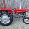 MASSEY FERGUSON 135 Tractor