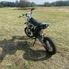 Kxf 125