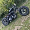 Harley Davidson Sportster Bobber