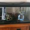 Fish tank