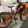 Fat bike