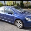 Peugeot 307 SE