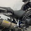 Tiger 1200 FSH near Mint WHY?