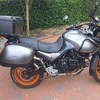 Triumph tiger 995i