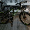 Boys/mens Mountain bike